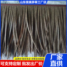 �������_�X����@����é��ľ��픵������l50CM����é������é����