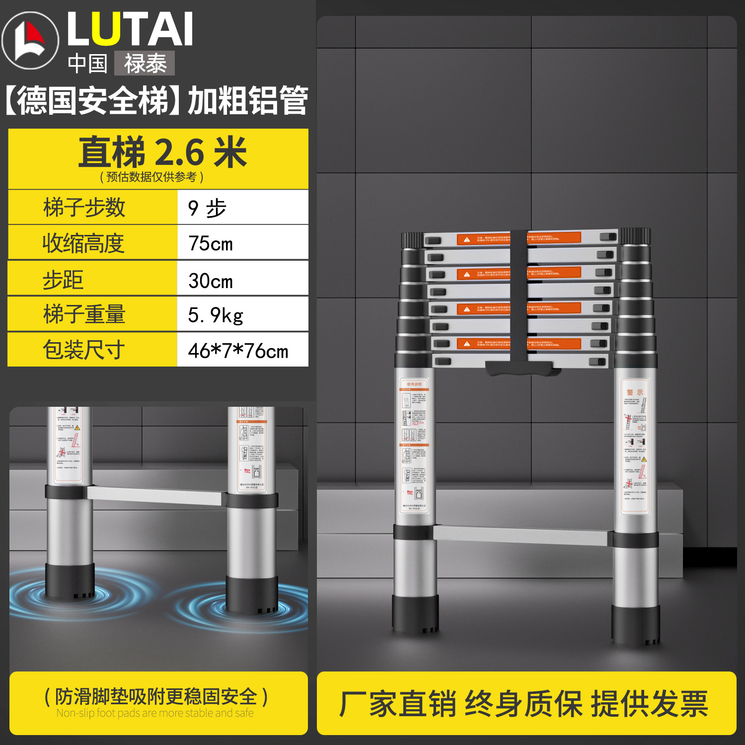 (독일 표준 + 두꺼워짐) 독일로 수출되는 2.6M 직선 사다리 엔지니어링 모델 - 직선 사다리