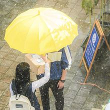 �n��߅���a������p��ͬ���Sɫ��㱳�������܏͹ſ��L14���L����