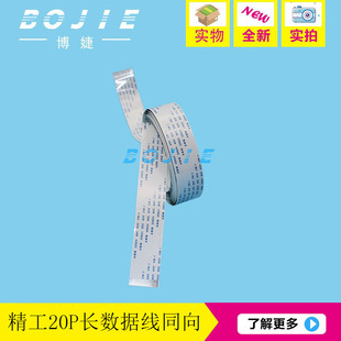 �O���w�v��Խ��̩��˹��Ұ�D�����L�C�L�ž�20о�������^������