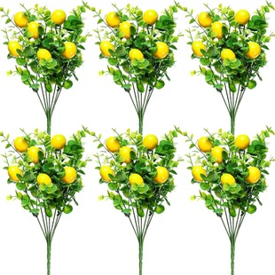 ���R�d�����߲��ȼ������ʻ��� ���滨�Ҿ��b� �Gֲ�[�����յ���