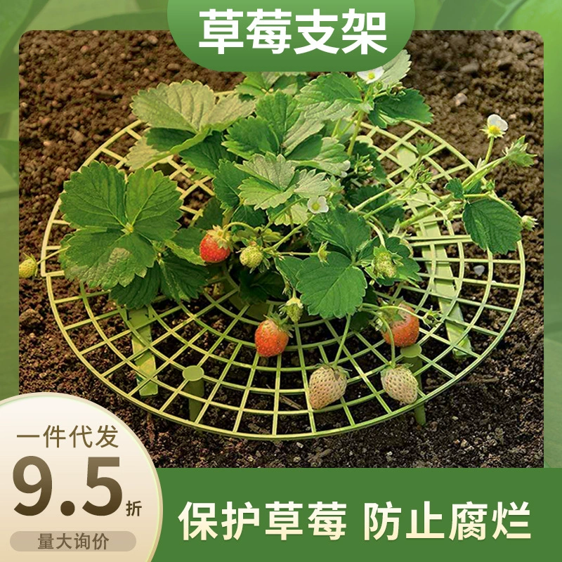 Независимая почтовая упаковка подставка для клубники в горшках для предотвращения гниения подставка для цветов растений большое количество торга за поколение волос