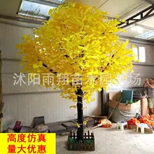 yӘ҃byӴͼ٘Ƶ̈չdų̈٘쾰