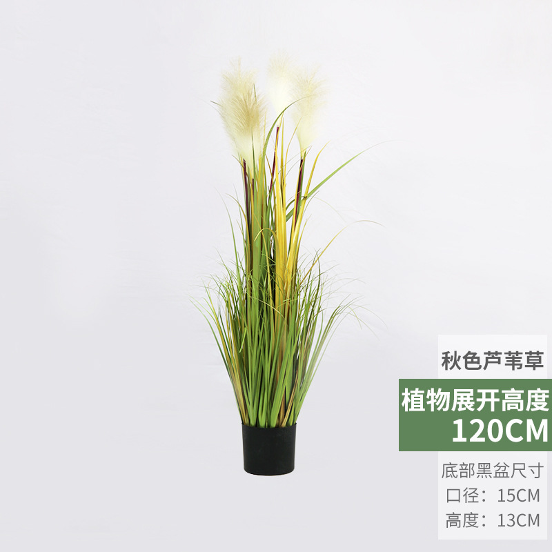 犬尾巴草シミュレーション花葦草偽草シミュレーション緑植毛虫猫尾草偽花箱装飾造景観|undefined