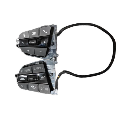 G20G28 multifunction steering wheel | Steering wheel