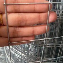 热镀锌钢丝网铁丝网围栏铁网格网养殖网小孔不锈钢铁网安平丝网