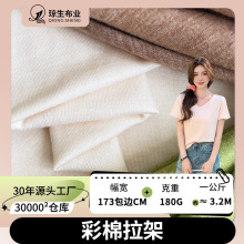 180g彩棉拉架人造丝单面平纹汗布人棉涤纶混纺面料TR服装t恤布料