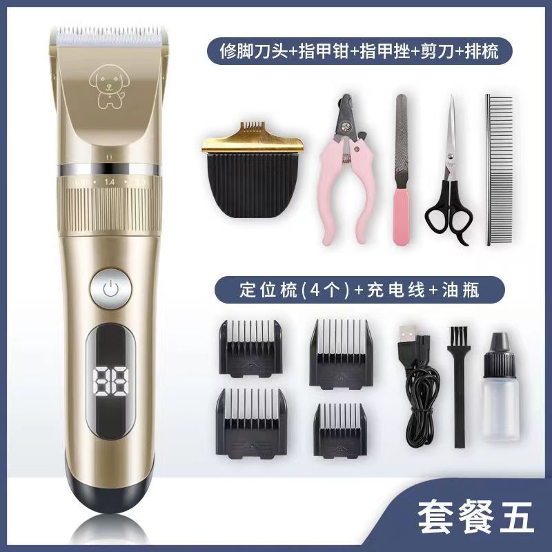 표준 + 미용 도구 + 면도 헤드 (금)