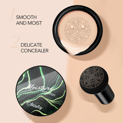 Mushroom head air cushion CC cream isolation foundation concealer acne marks spots bb cream large capacity 20g free mirror cross-border