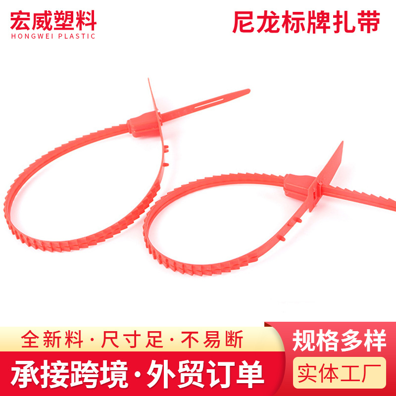 一次性尼龙标牌扎带 自锁式带扣扎带封签物流快递封条防调包标牌