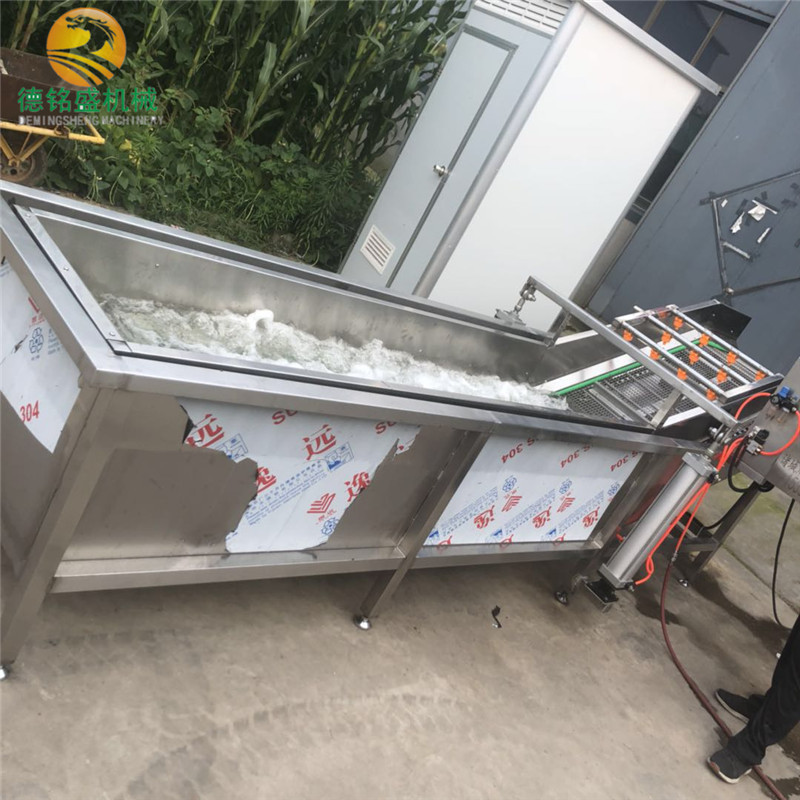 商用大红枣气泡清洗机型号 风干线尺寸规格 果蔬气泡清洗机