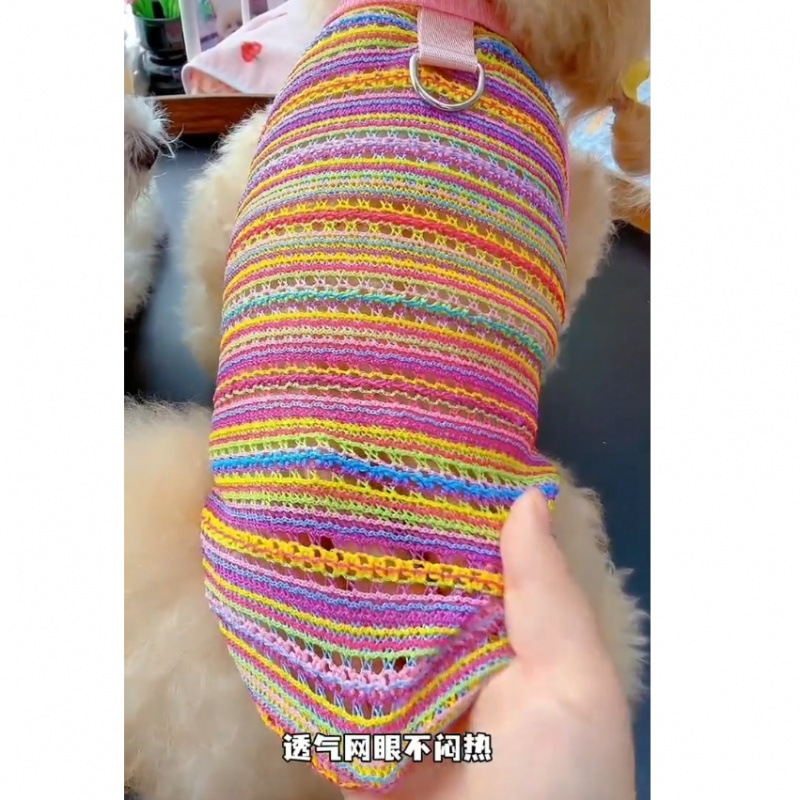 Ropa de perro y gato de verano antipello arco iris transpirable trenzado chaleco hueco Teddy Bear Pomeranian perros pequeños