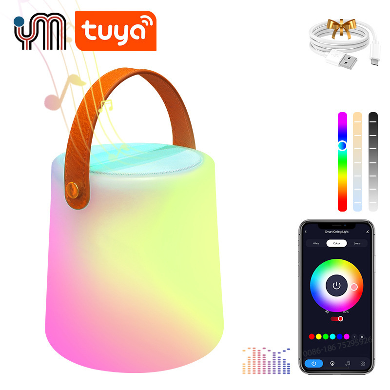 Tuya Alexaスマートスピーカーライト、カラフルな一体型小型スピーカー、Bluetooth音声制御、タイマー機能付き、防水、ポータブルライト|undefined