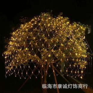 led Net Light outdoor glue rainproof fishing net light wedding lights festival lights Christmas decoration lights