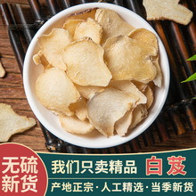 ���ڰ�ܸ��ș��500g��Ʒ�|����ܸ��Ƭ���x����׼�ș�Ŀ�ĥ��ܸ��