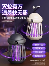 2025�¿���ß�������������o����׃��ЋD�������T�����҃Ȳ͏d