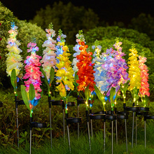 羳̫ܟLӲƺbw؟ͥԺe@ˮز