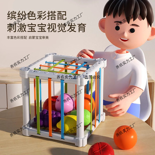 Infant and Toddler Cesele 0-3 Years Old Baby Finger Fine Toys 6 Months and Above Newborn Enlightenment Early Education Direct Sales