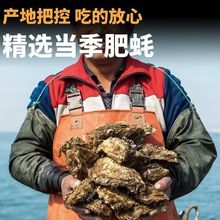 ��S�l؛�r��������r�ش�Ϡ��ĵϠ�����r�ʳ�ش�̖