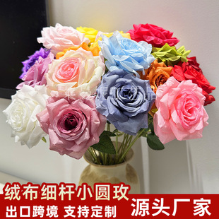 ���UС�Aõ����滨�q��õ���c��Y·���������컨�Ҿ��b���