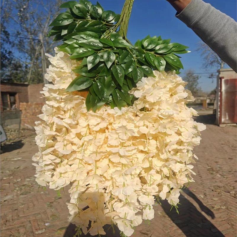 특별한 간장 꽃-샴페인