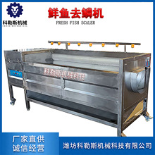 ���~Ó�[�O�� ���~Ó�[�C 늄ӟo�p��Ó�~�[�O�����l