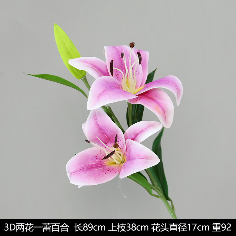 3D 릴리