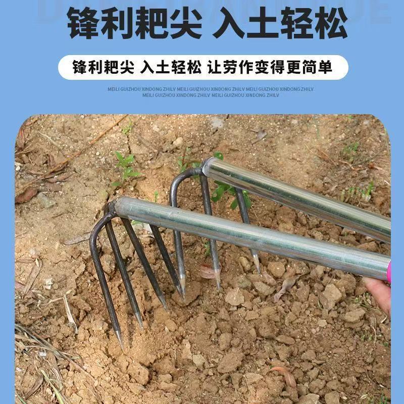 微信图片_202505070826133.jpg