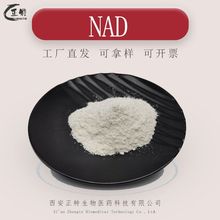 NAD 99%  烟酰胺腺嘌呤二核苷酸 53-84-9 西安正特