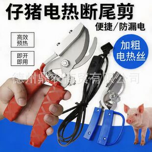 �F��늟��β�Q�i�����iС�i��β�Q����β���������X�����Q�i��