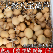 ���l���J�[���Ѽ�����С�ˌ�������Ʒ�ֱP����Ȼ�����J�����^