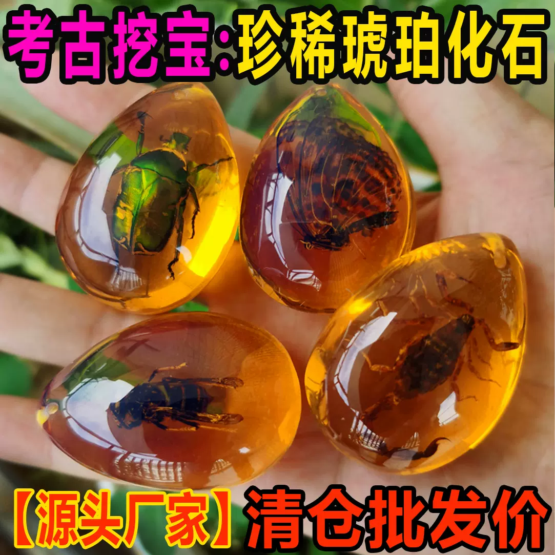 考古挖掘玩具琥珀昆虫挖宝石恐龙化石儿童考古盲盒厂家批发摆摊