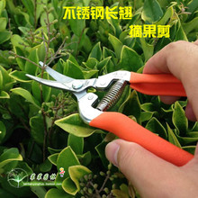 ̨����ɭ �@�ֹ��߈@ˇ����/ժ����/ժ����/���^ϡ������ʡ������