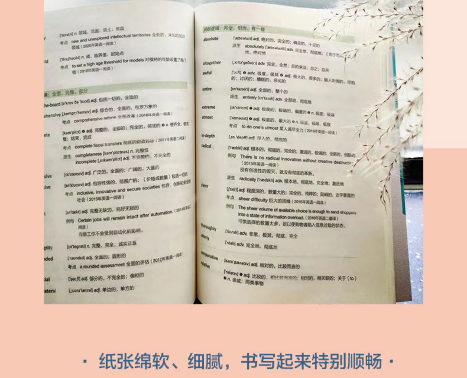 新版】唐迟词汇的逻辑2026考研英语词汇 历年真题词汇单词书分类-阿里巴巴