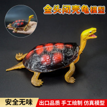仿真实心龟金头闭壳陆龟模型玩具象龟苏卡达乌龟星龟摆件儿童礼物