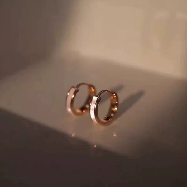 Minimalist Plain Hoop Earrings for Women 2025 New Trendy Niche Ins High-End Light Luxury Minimalist Design Earrings