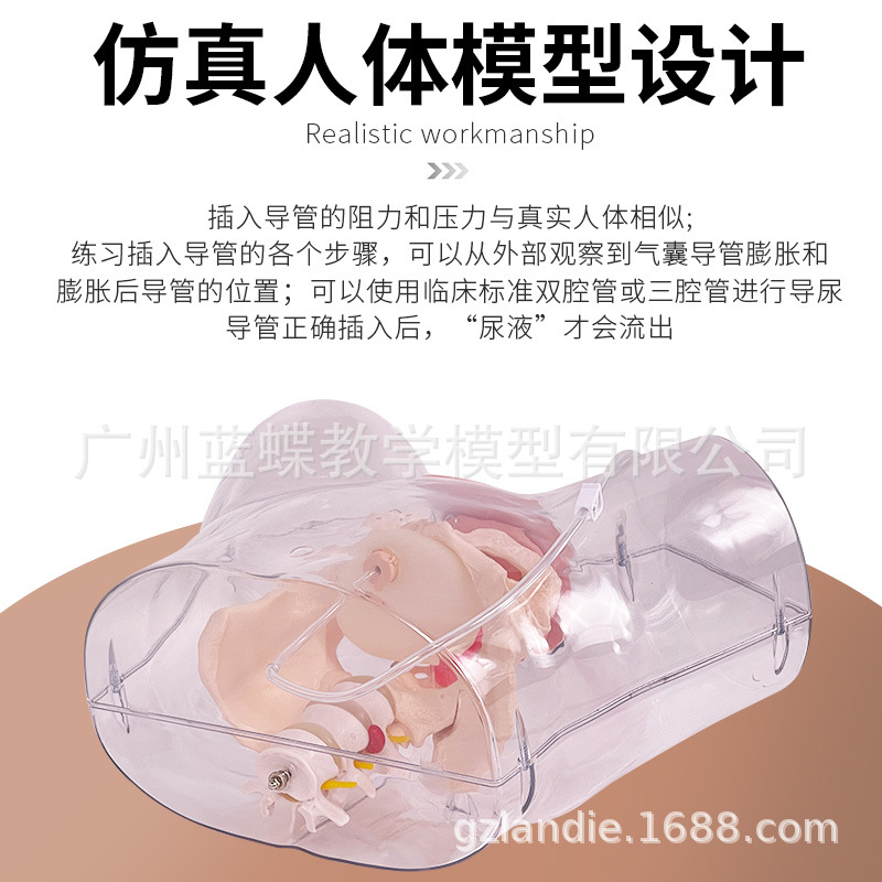 �߼���Ů��͸������ģ�͹೦ҽѧ�õ���������ģ���°�����������