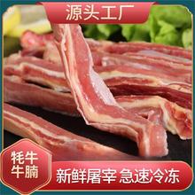 海拔三千牦牛胸腩牛腩新鲜阿坝州牛腩牛肋条雪花牛肉现货批发