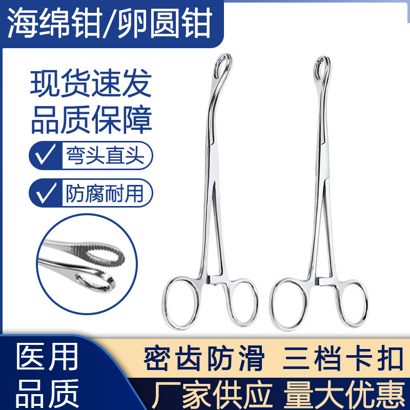 不锈钢海绵钳卵圆海棉钳拔罐钳子圆头钳夹持钳18cm25CM直头齿弯头