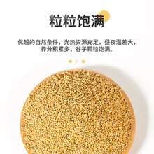 鹦鹉粮带壳黄谷子鸟粮鸟食芦丁鸡饲料虎皮牡丹玄风横班有壳谷小米