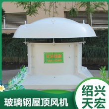 绍兴天宏厂家生产 SMC模压 玻璃钢屋顶风机 可调式风叶 分片式