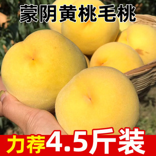 ����ɽ�|����S��ë��ԭ�a�ؑ��������r�r��ˮ����֭�@�جFժ����