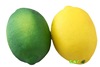 Realistic lemon fruit jewelry from foam, photography props, Birthday gift, wholesale