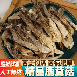 香菇;蘑菇