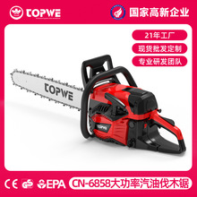 TOPWE���������䏼����ֳ�朗l䏶��_���֘I��ľ�C��֦���