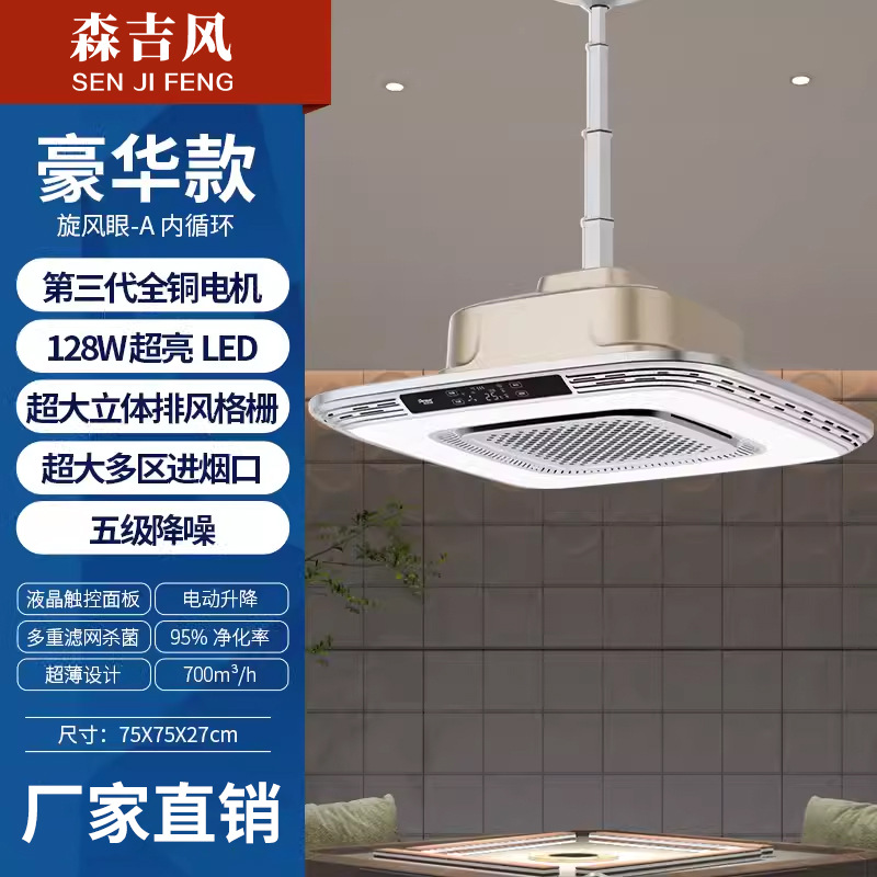 사이클론 아이 A 내부 순환 골드