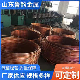 铜包钢圆钢厂家 连铸铜包钢圆线 12mm 14mm镀铜圆钢 接地母线