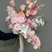 ��ɫϵ��c��������mõ��ٻ��鷿���û�Y�Ż��b������Ľ���