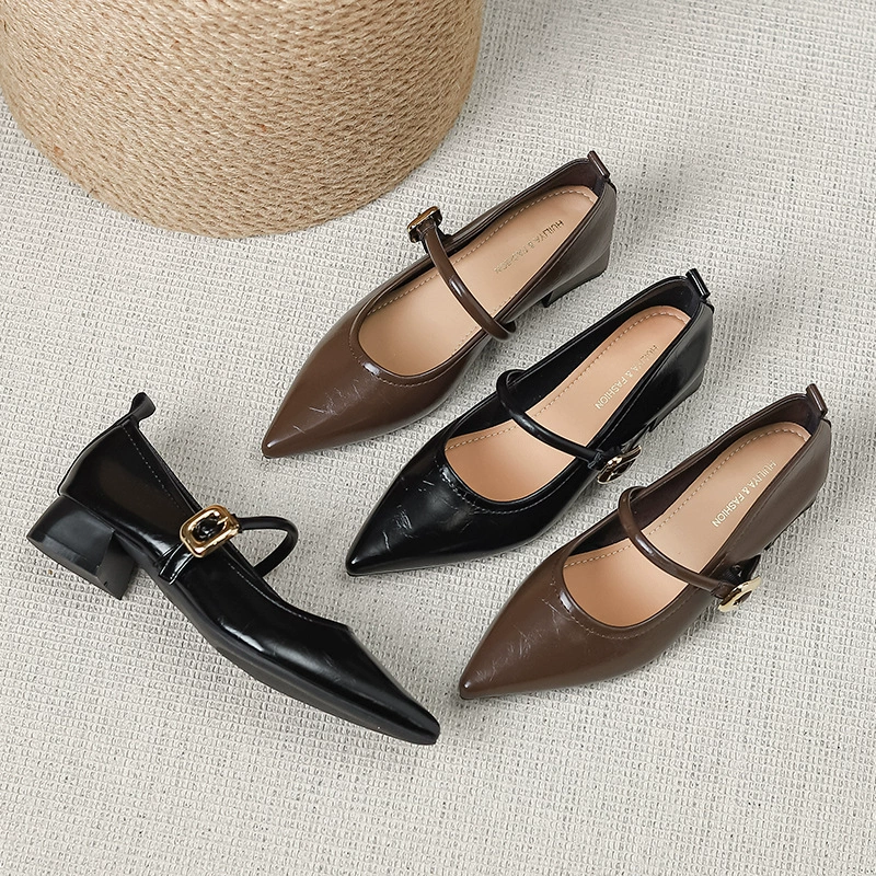 French pointed single shoes female 2025 new low-heeled light mouth buckle thick heel Maryzhen small leather shoes y303-2
