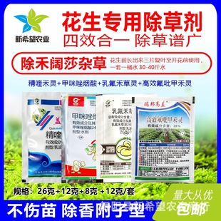 �������������݄� ��Ч��һ �����ɯ�s�ݐ����㸽�ӻһҲ�����